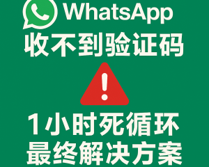 中国大陆获取WhatsApp验证码的技术解析与解决方案